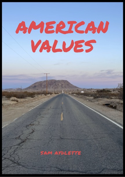 American Values book cover